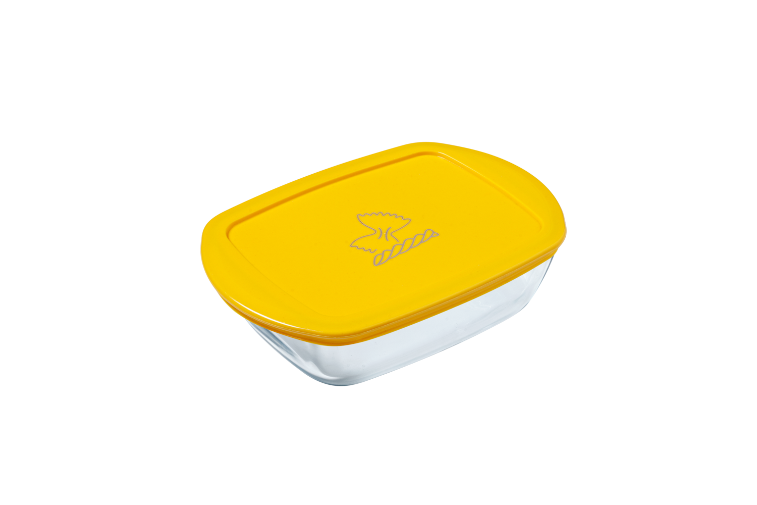 Cook & Store - Rectangular glass dish with blue lid - fish